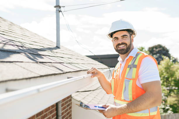 Best Roof Gutter Cleaning  in Delano, MN